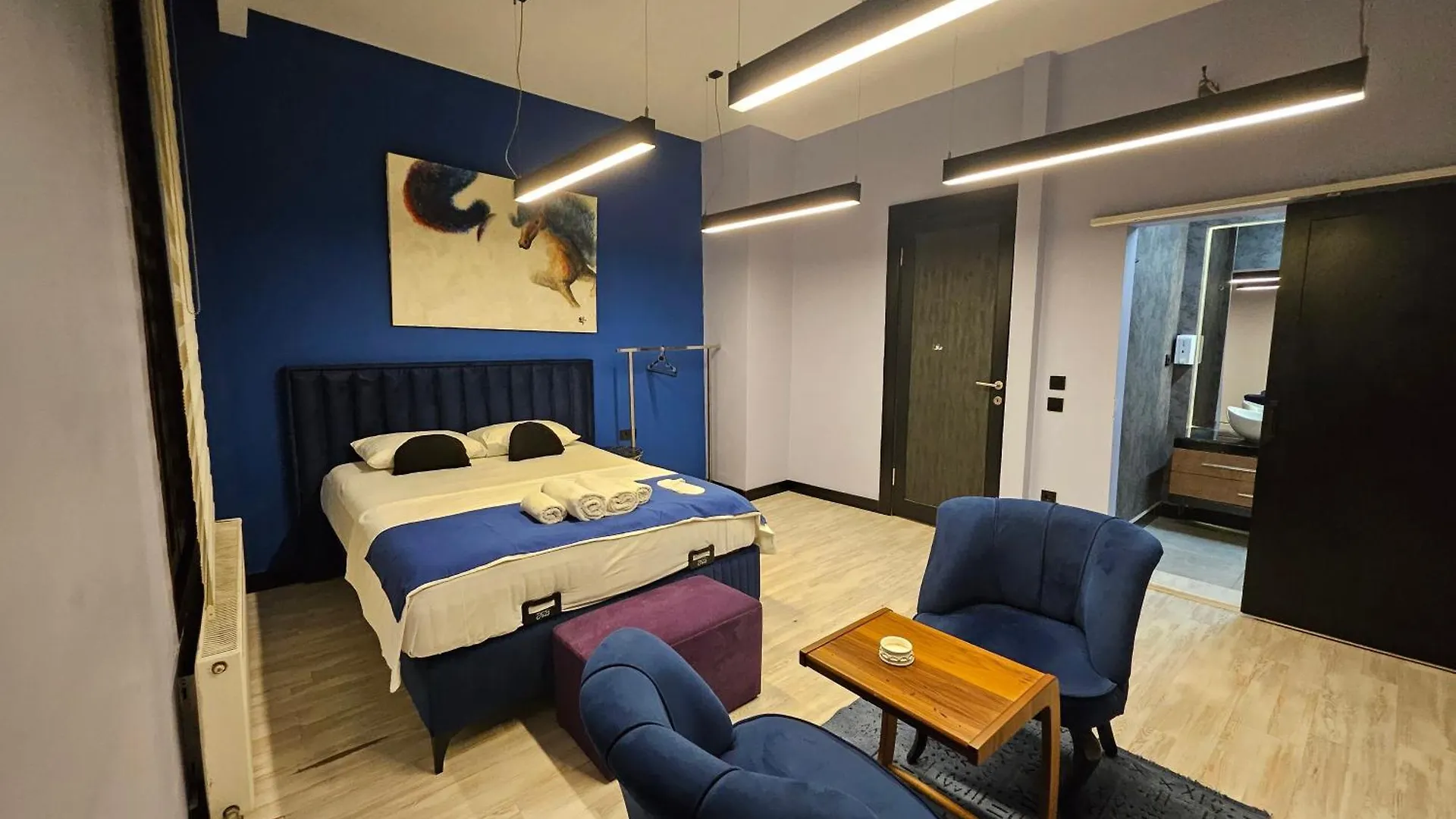 公寓式酒店 Jirhouse Sarikoesk Suit 伊斯坦布尔
